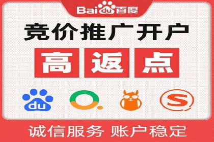 SEM服务在本地化营销中的应用案例